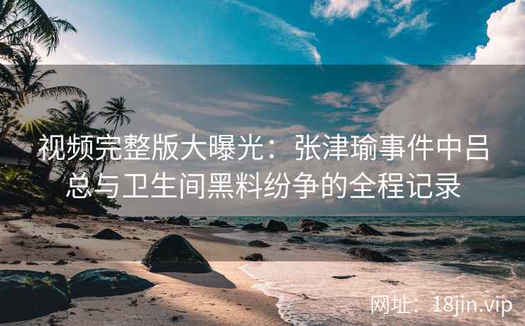 视频完整版大曝光：张津瑜事件中吕总与卫生间黑料纷争的全程记录