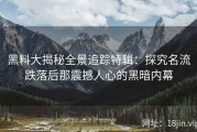 黑料大揭秘全景追踪特辑：探究名流跌落后那震撼人心的黑暗内幕