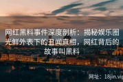 网红黑料事件深度剖析：揭秘娱乐圈光鲜外表下的丑闻真相，网红背后的故事叫黑料