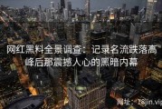 网红黑料全景调查：记录名流跌落高峰后那震撼人心的黑暗内幕