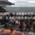《全网爆料：张津瑜黑料视频事件全面追踪，名流圈内暗流涌动内幕全揭露》