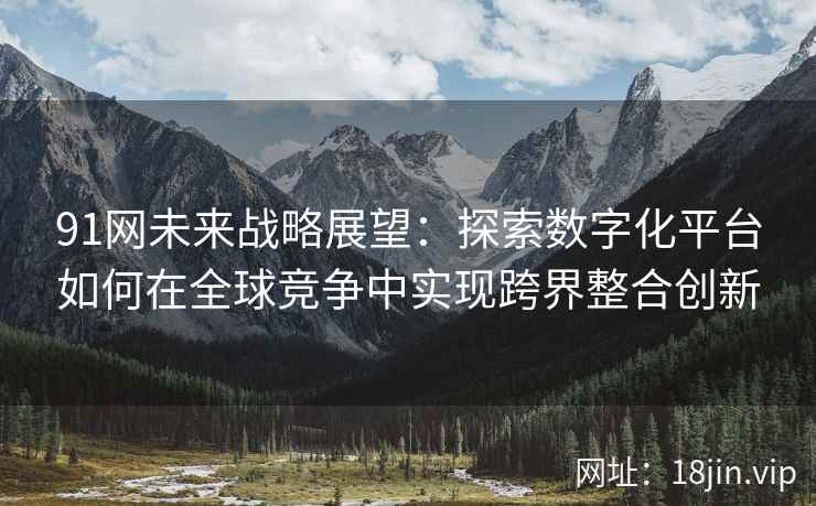 91网未来战略展望：探索数字化平台如何在全球竞争中实现跨界整合创新