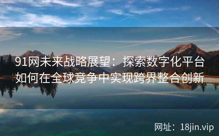 91网未来战略展望：探索数字化平台如何在全球竞争中实现跨界整合创新