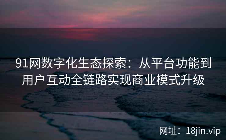 91网数字化生态探索：从平台功能到用户互动全链路实现商业模式升级