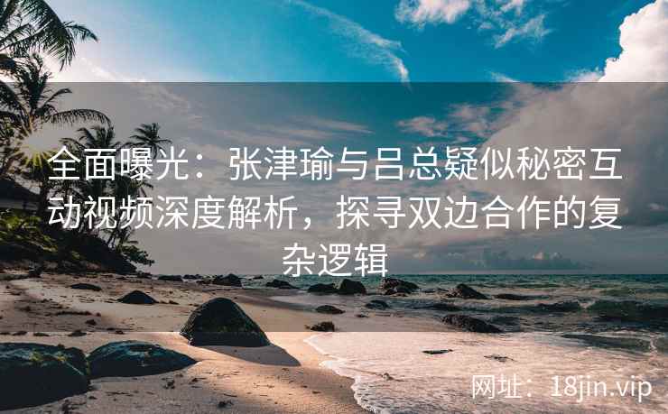 全面曝光：张津瑜与吕总疑似秘密互动视频深度解析，探寻双边合作的复杂逻辑